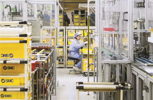 深度關(guān)注丨中國市場(chǎng)的磁吸力 數(shù)據(jù)處理服務(wù)的崛起與前景